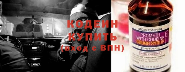 эйфоретик Няндома