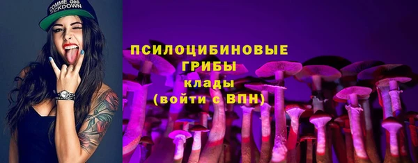 мет Новодвинск