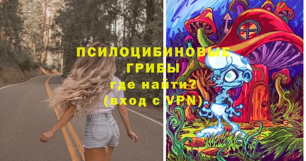 мет Новодвинск