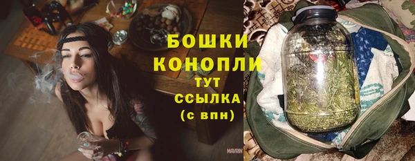 эйфоретик Няндома