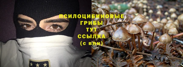 Альфа ПВП Новокубанск